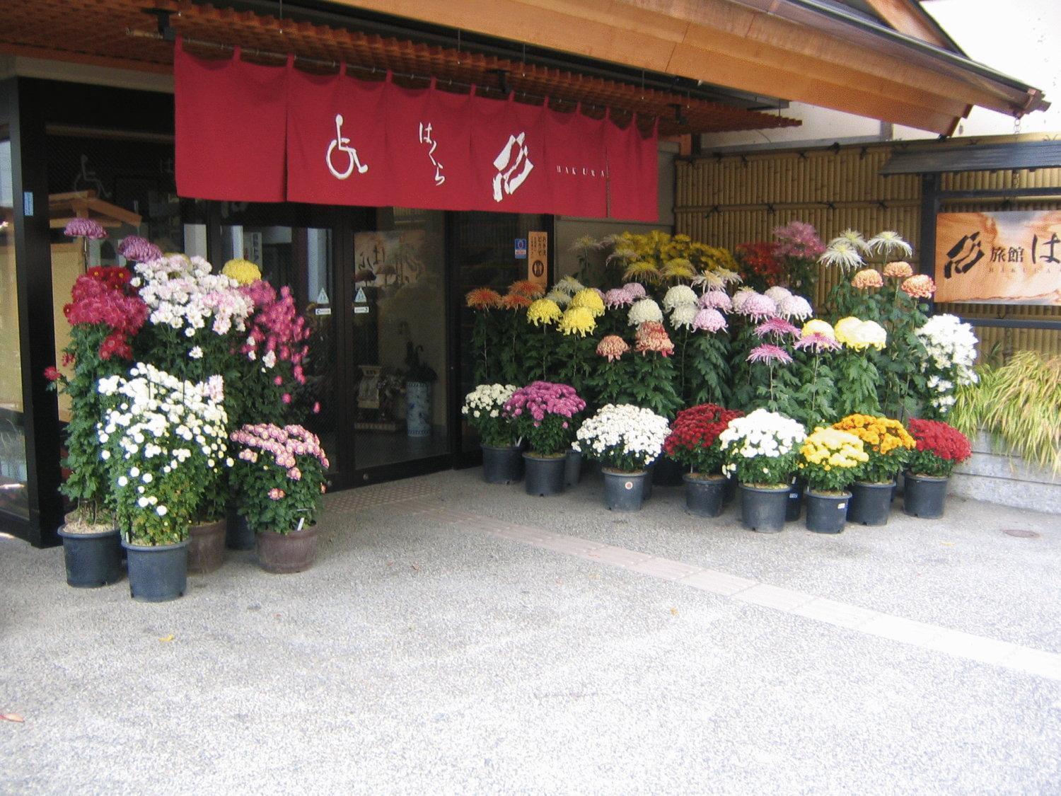Ryokan Hakura Yamanouchi  Exterior photo